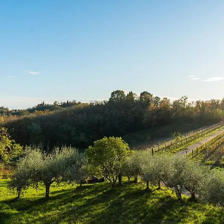 Ottelio De Carvalho *