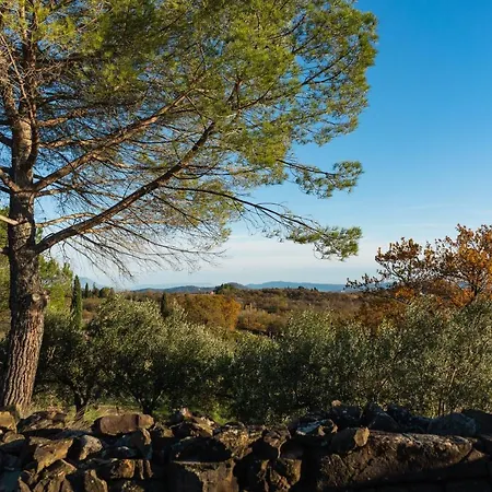 Ottelio De Carvalho Manzano